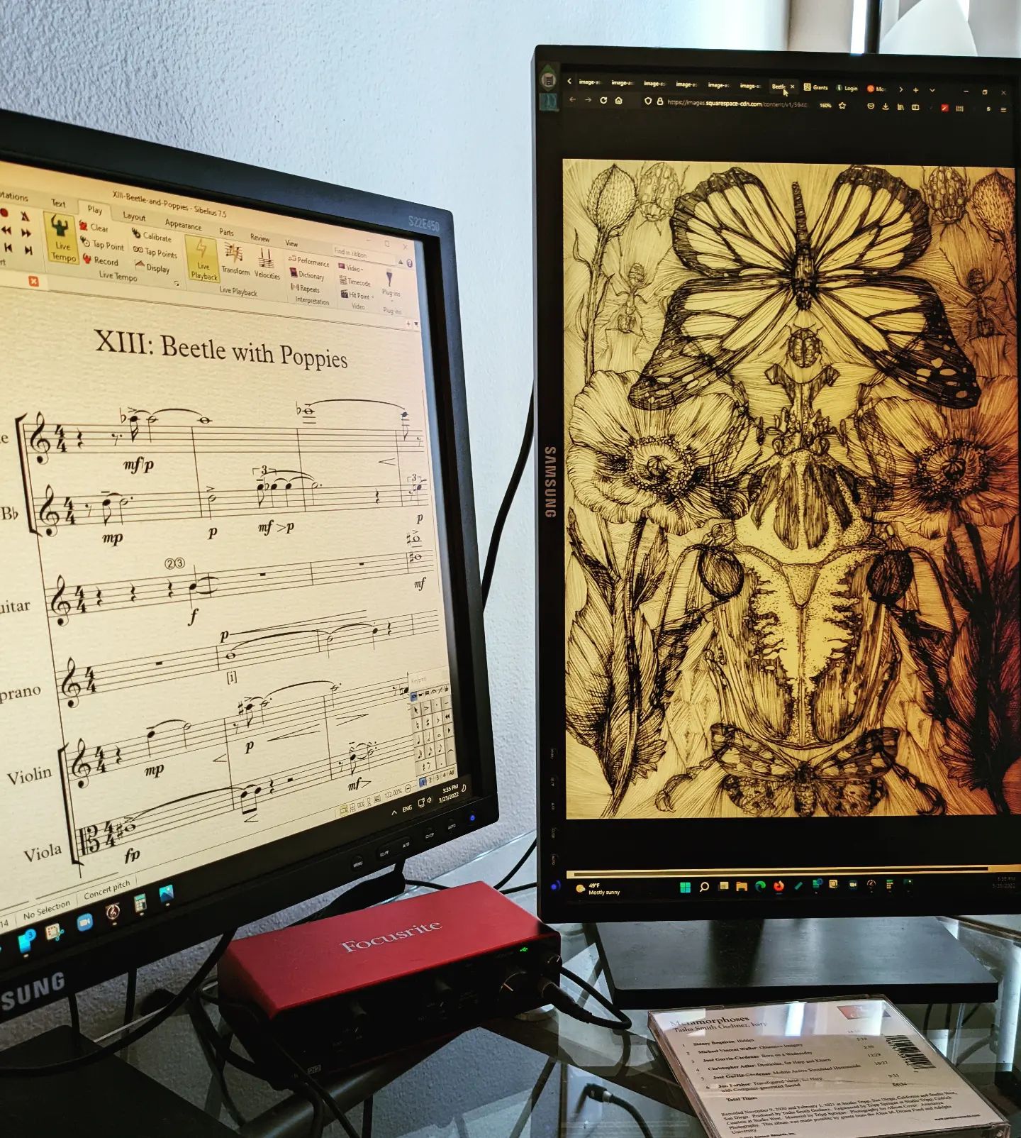 Beetle with Poppies, mvt. 13 of Vivarium... amazing images by Danielle Rae Miller. #danielleraemiller #nebulaensemble