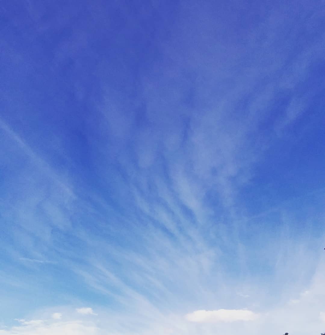 Ouf, the clouds can seem miraculous up here at 6,000+ ft. Such rarefied airs...this shot taken while 2 dogs pulling at their leashes 🐶🐺 #littlefluffyclouds #dogwalking