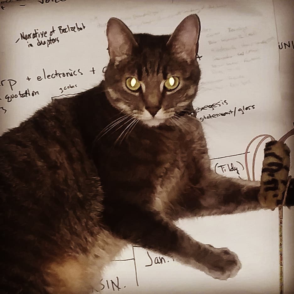 Rocket stretching out on my notes after I've taken them off the wall...to be updated with new projects & deadlines. #outwiththeoldinwiththenew #wallchart #funwithmycat