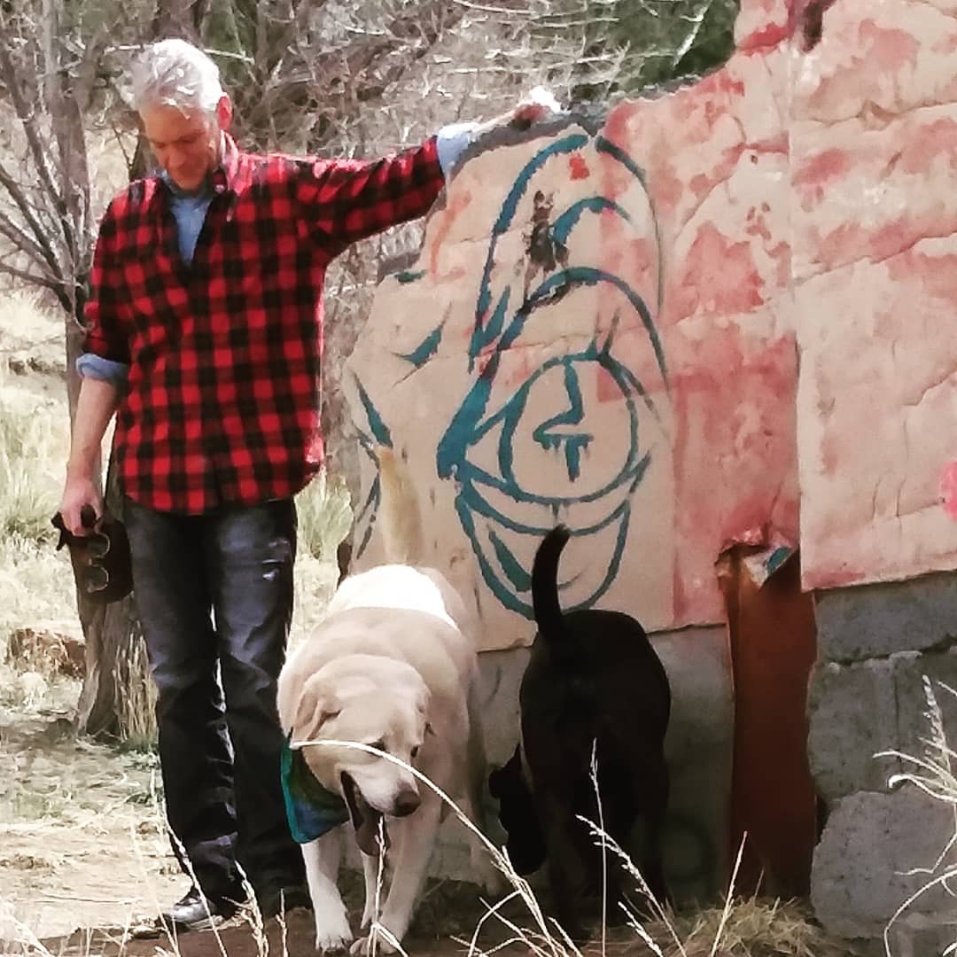 Just keepin' an eye on the dogs... #outdoordiscovery #dogssavelives #coloradohiking #aninvisibleeye #socialdistanceinthewoods